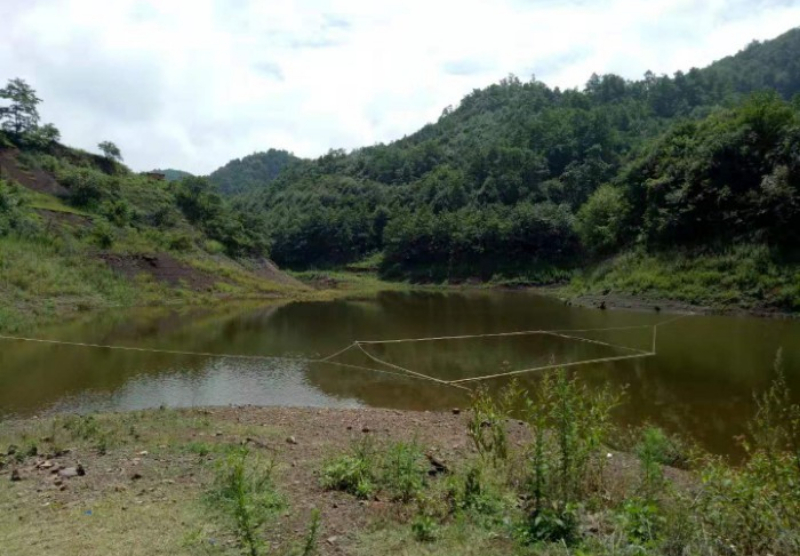 寻甸羊街白鸡凹水库生态园