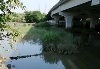 大学城中医药大学水闸