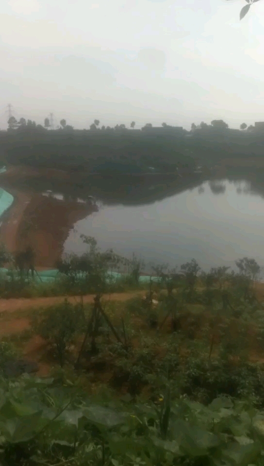 休闲娱乐垂钓乐园