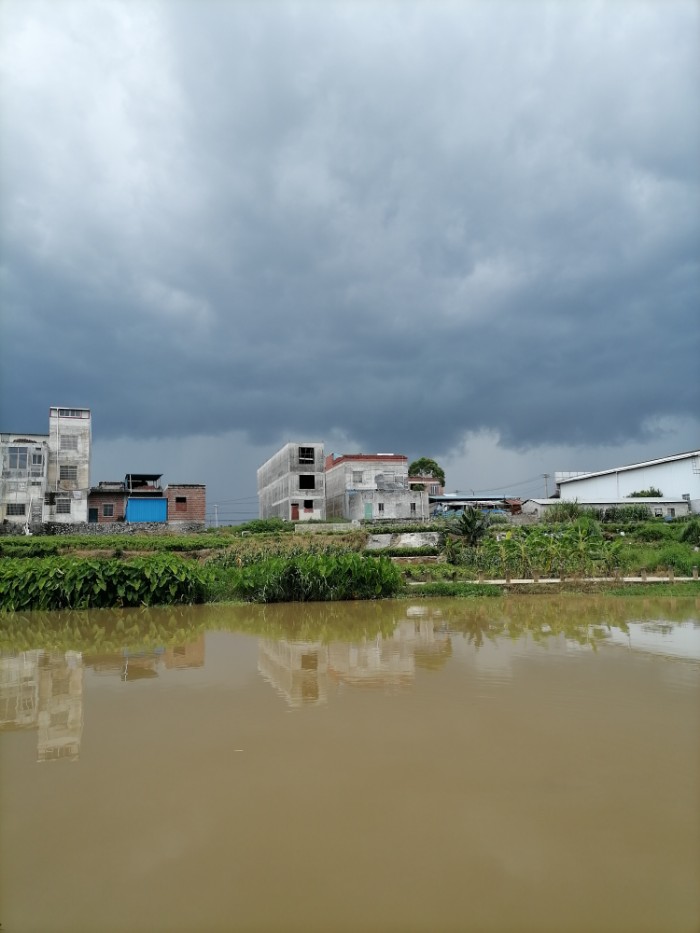 横县云表江下甘村附近江段