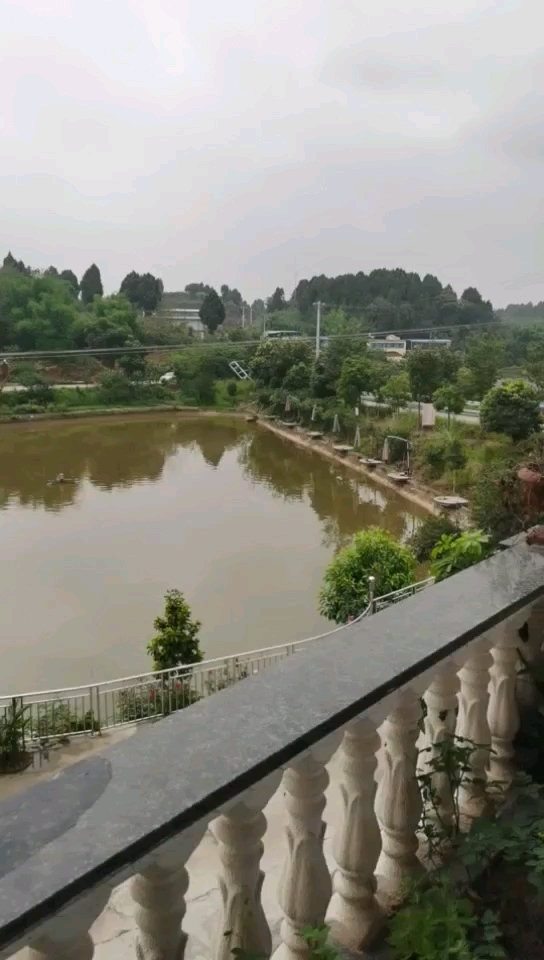 鑫兴源生态农业合作社