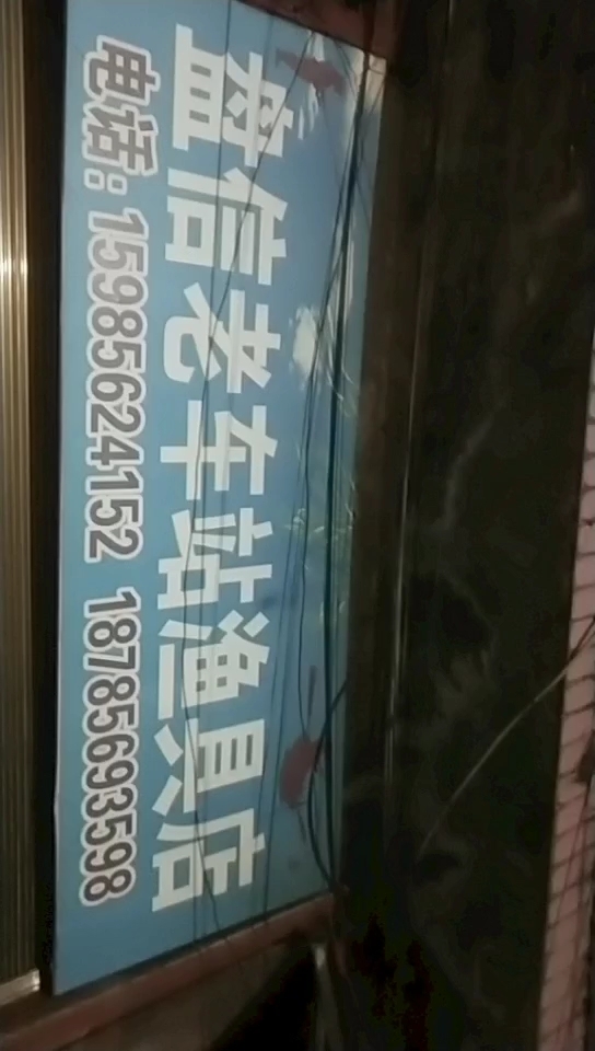 松桃县盘信老车站渔具店