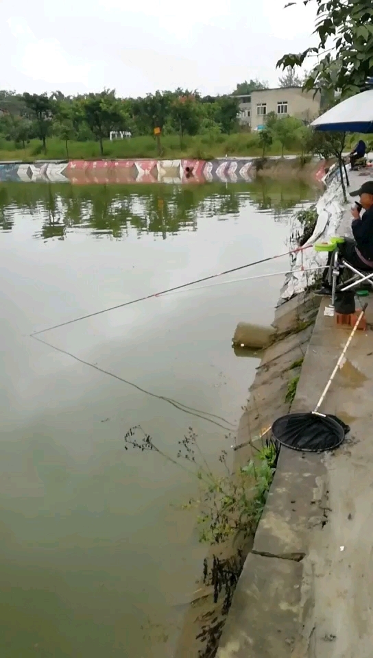 锦上添花垂钓园