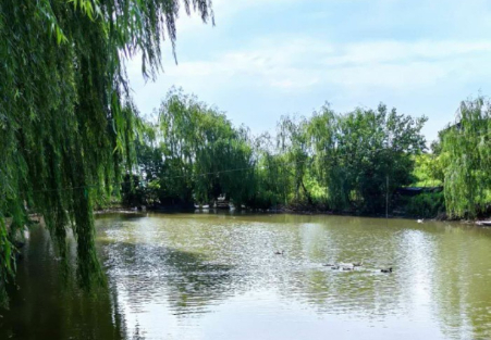 嘉定丰采喧乐园拓展基地休闲垂钓