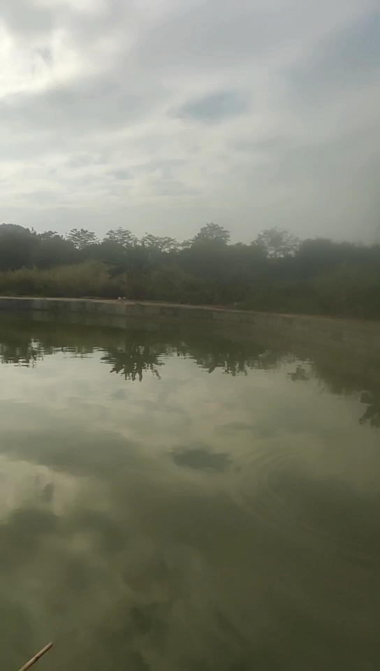 迳口小王钓鱼场