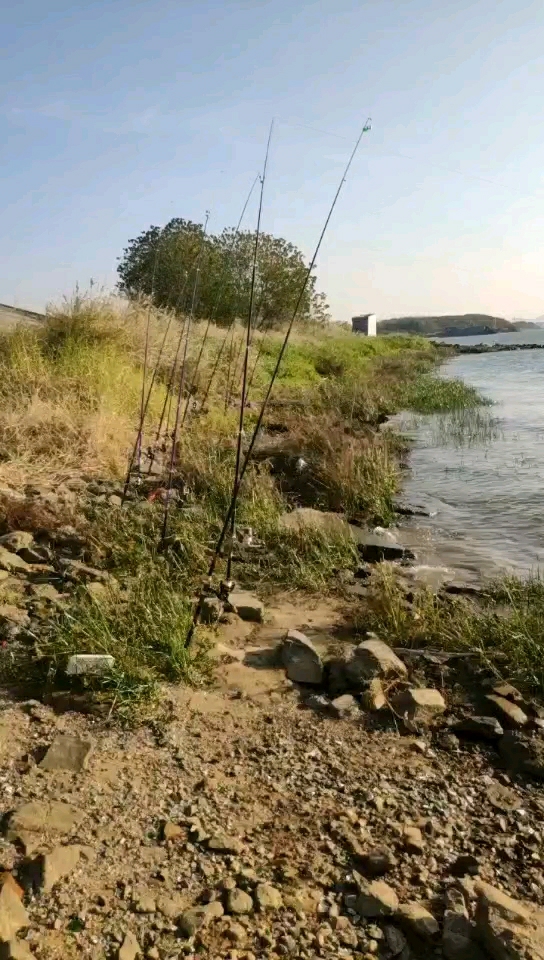 东平水道