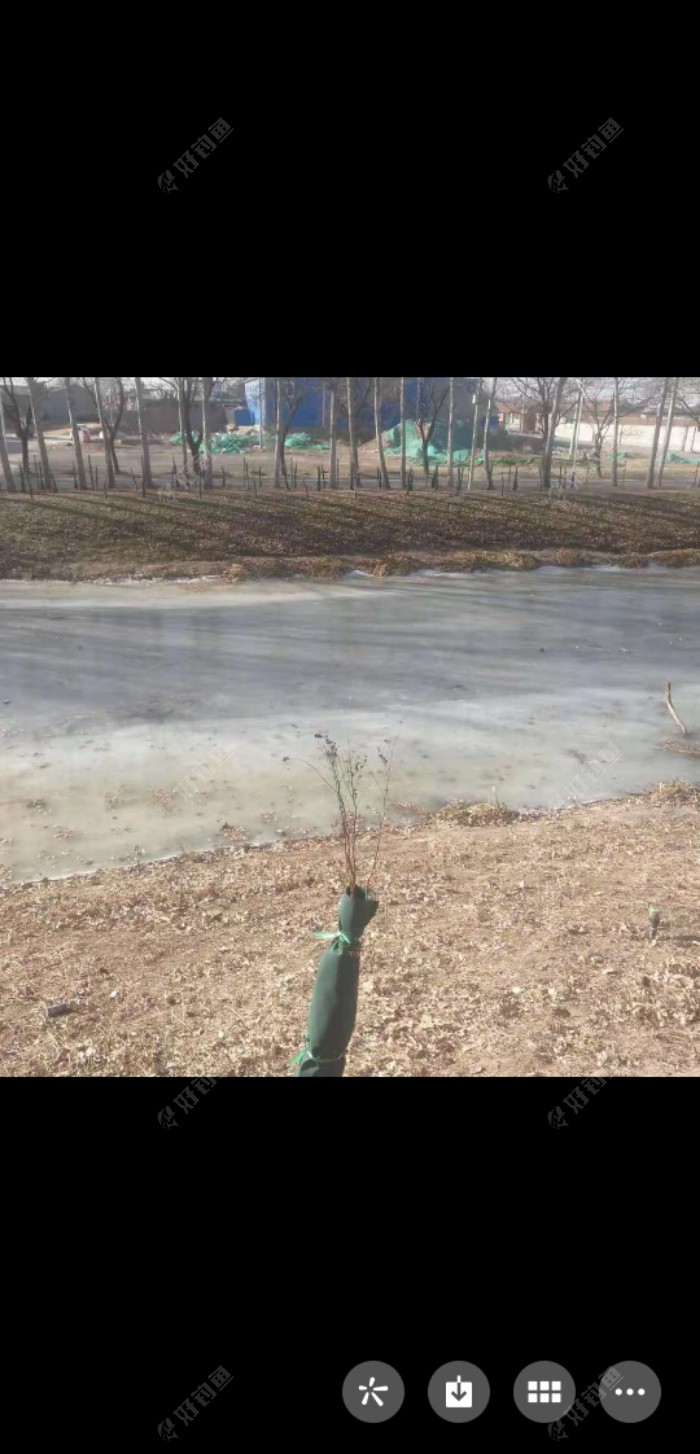 Screenshot_20210101_131447