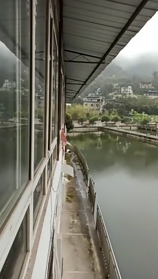 心合园垂钓中心