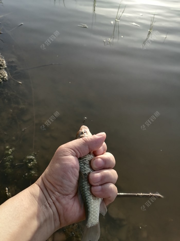 留恋故土垂钓汾河