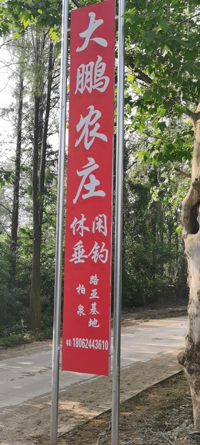 大鹏农庄，柏泉路亚基地
