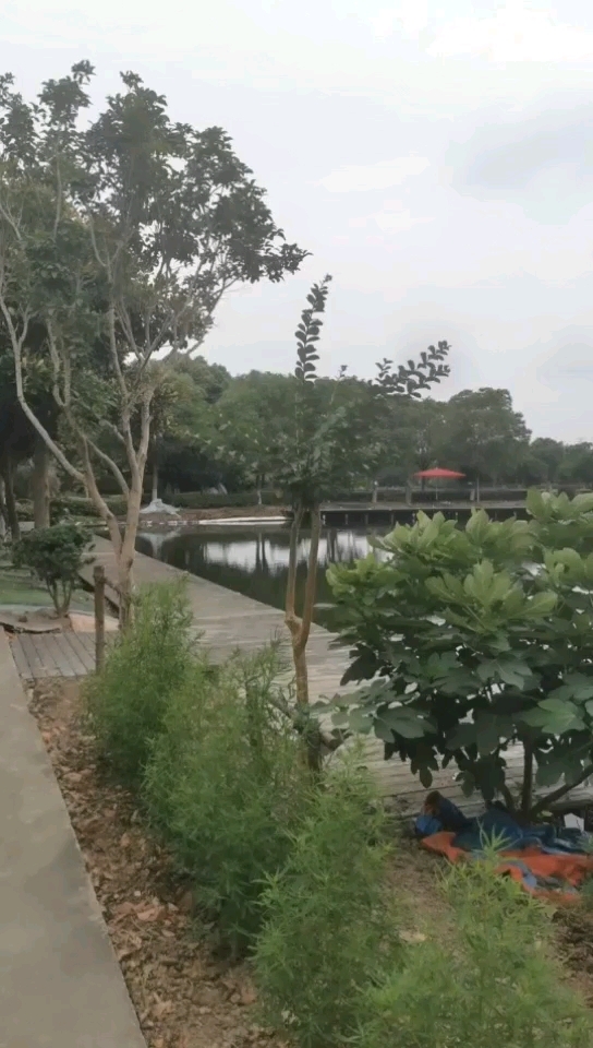 桃花岛休闲钓鱼中心