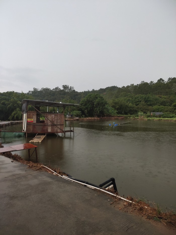 上林冲休闲钓鱼场