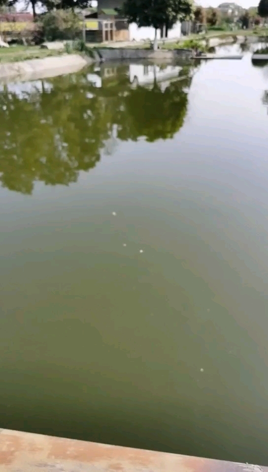 渔见你休闲垂钓园