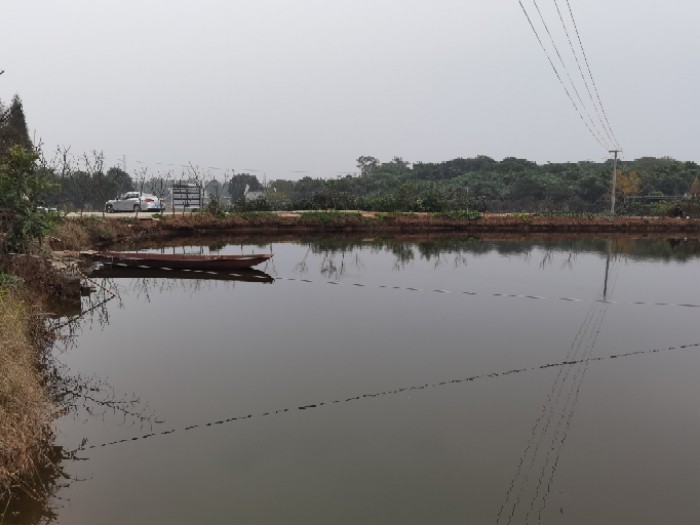 青白江区乡坝头家庭农场垂钓中心