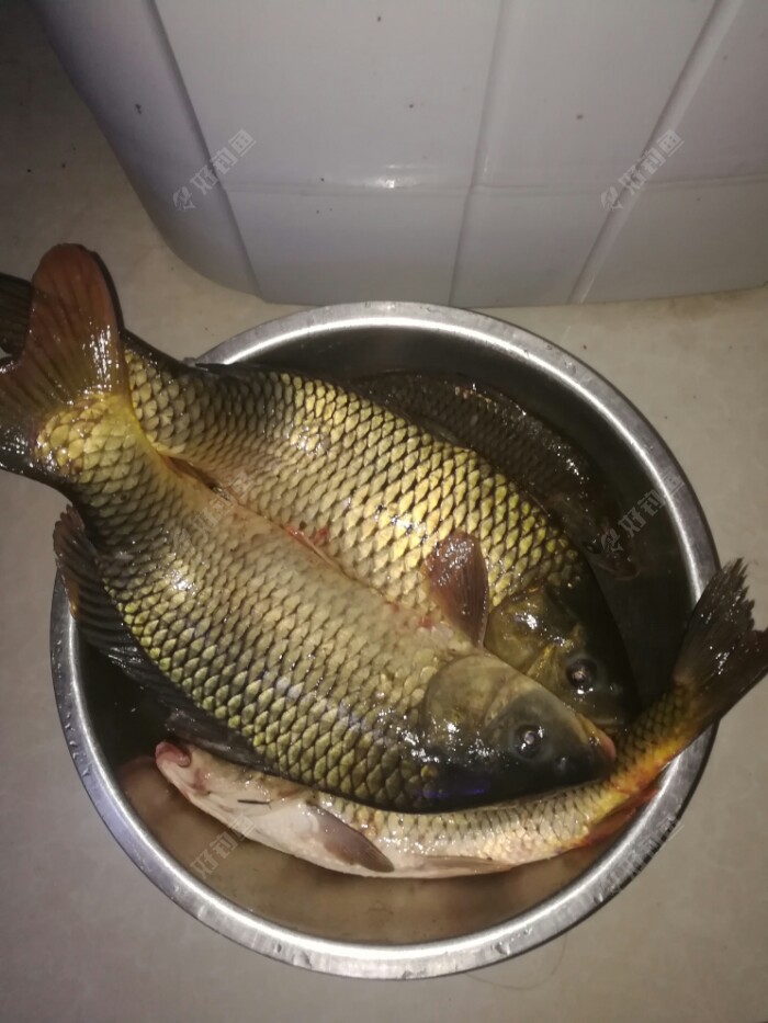 尼山水库鱼获 - 好钓鱼