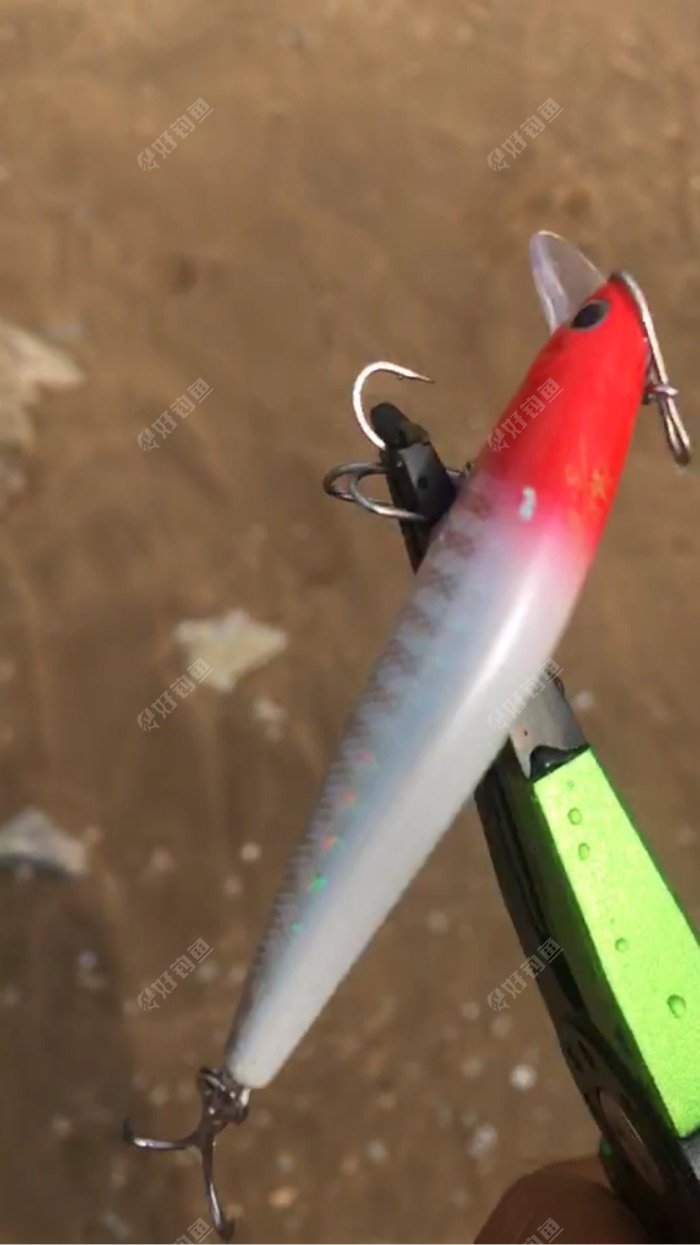 今天运气不错哈 - 好钓鱼