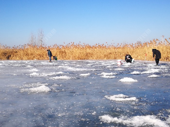 继续潮白河冰钓