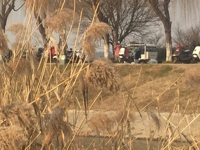 岸上是钓鱼爱好者们骑的电动车?。
