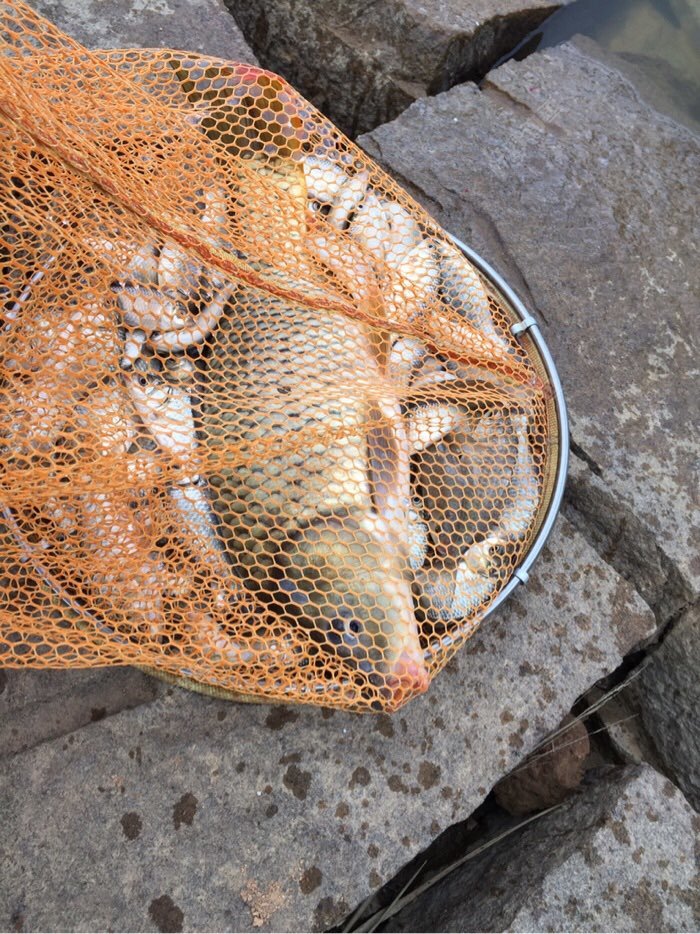 昨天下午去水库钓鱼啦