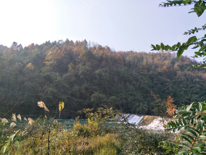 最后来张图片镇楼，图中的大河就在小河背后，大中午，大河里面基本没口，所以在背后小河作钓，最后在这里祝各位钓友新年快乐，大鲫大鲤 ，逢钓必爆护?????
