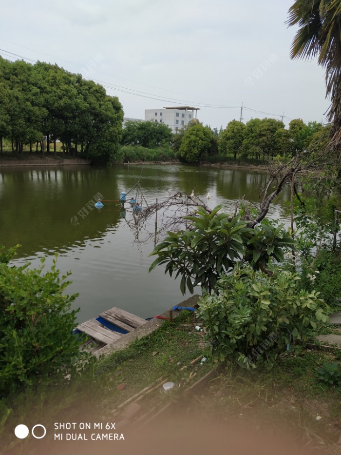 這就是我的釣點,現在介紹一下今天下午來魚塘釣魚用的裝備和釣法,開始