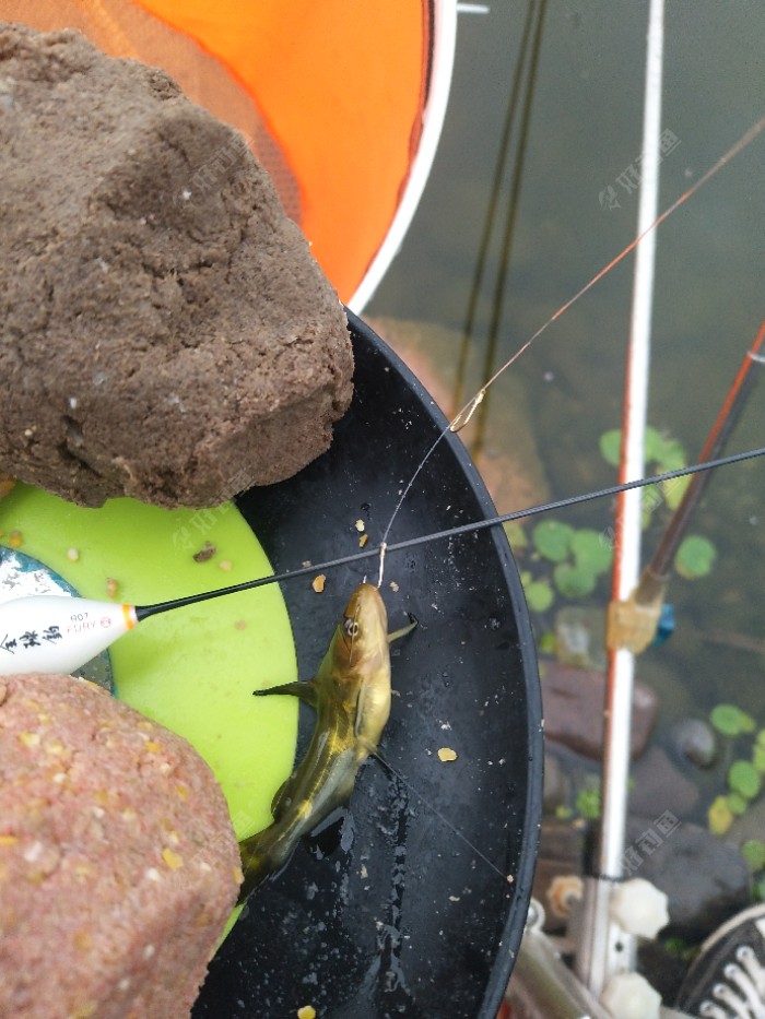 1234567就这样钓 - 好钓鱼