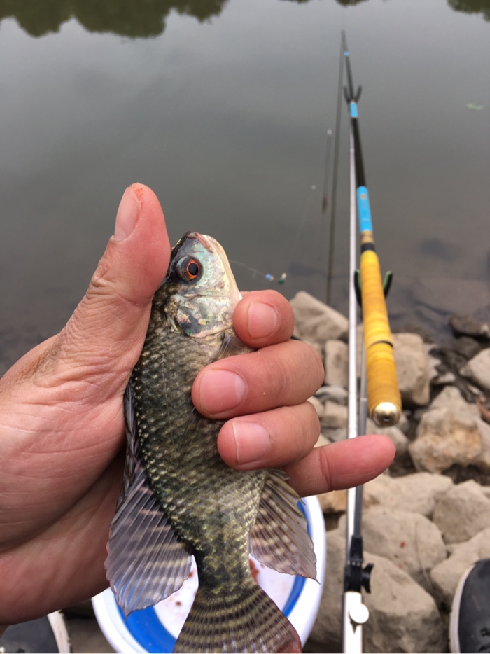 寒冬暖钓〕2021-3#假期结束前,找回点手感 - 好钓鱼