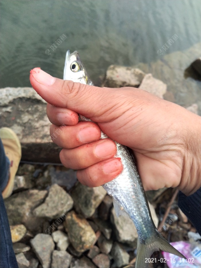 年新乐钓哈哈乐 - 好钓鱼