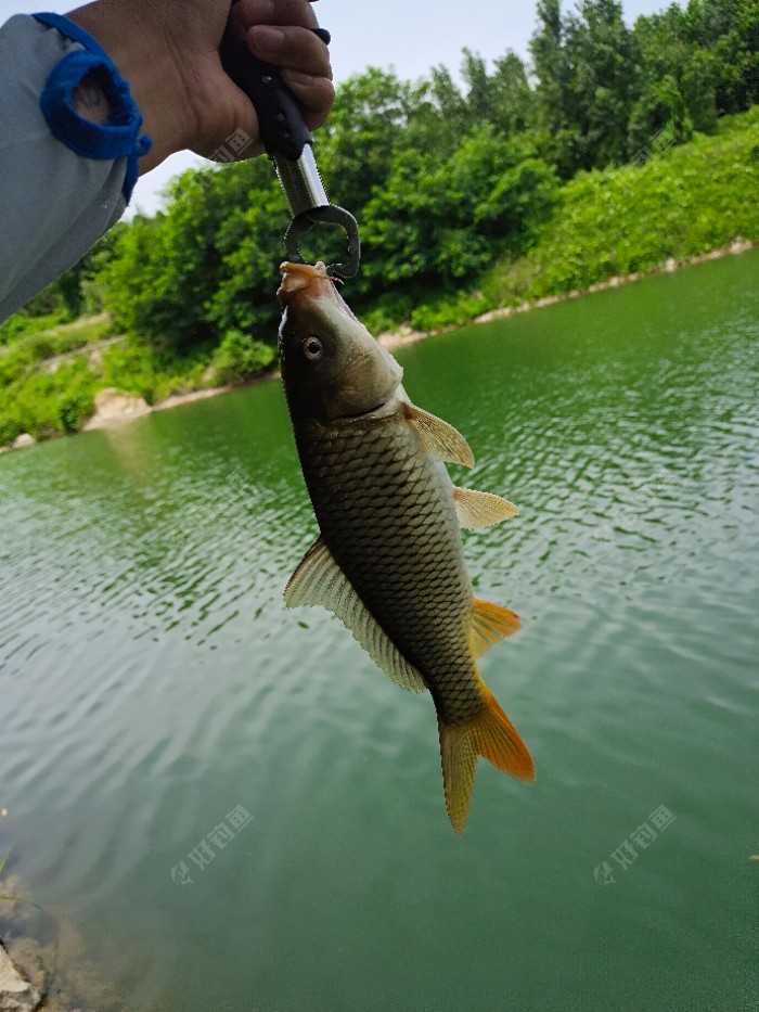 垂钓德当先,爱护环境,人人有责 - 好钓鱼