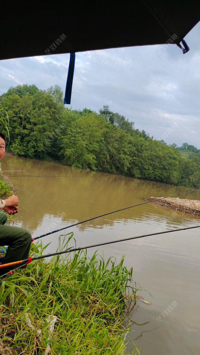 好久没有钓大河了 - 好钓鱼